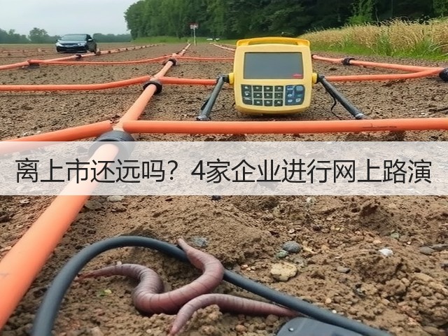 离上市还远吗?4家企业进行网上路演(图1) 离上市还远吗?4家企业进行网上路演(图1)