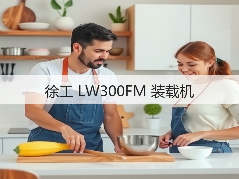 徐工 LW300FM 装载机 徐工 LW300FM 装载机