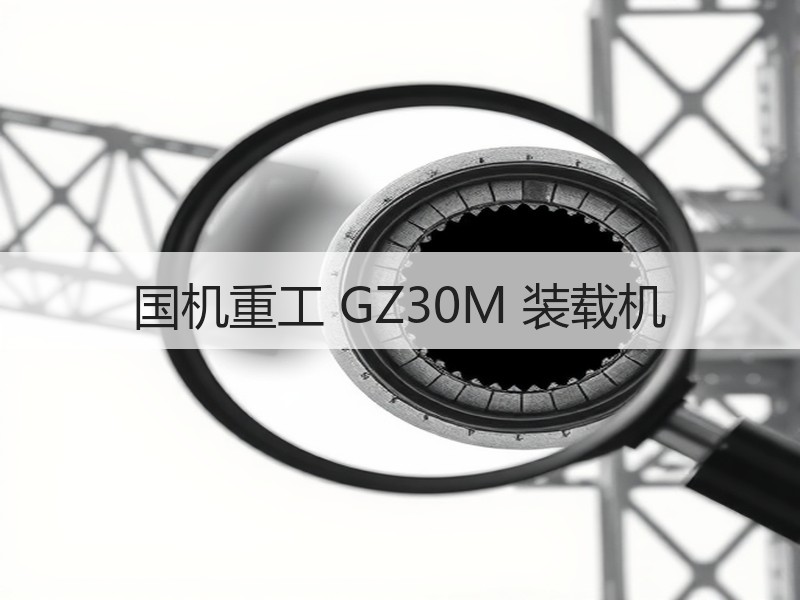 国机重工 GZ30M 装载机