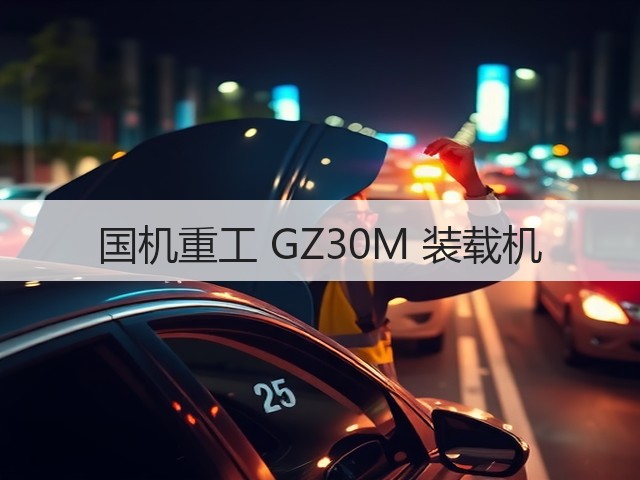 国机重工 GZ30M 装载机(图2)