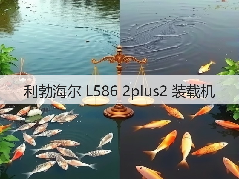 利勃海尔 L586 2plus2 装载机 利勃海尔 L586 2plus2 装载机