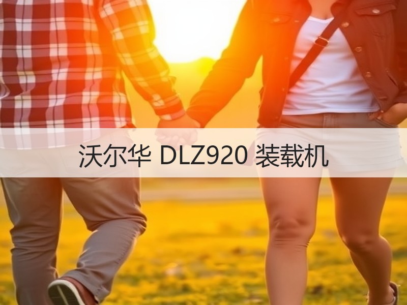 沃尔华 DLZ920 装载机