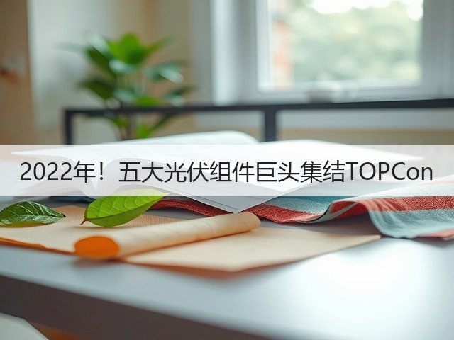 2022年!五大光伏组件巨头集结TOPCon(图3) 2022年!五大光伏组件巨头集结TOPCon(图3)