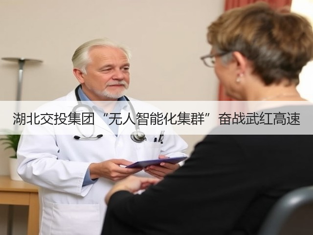 湖北交投集团“无人智能化集群”奋战武红高速(图2) 湖北交投集团“无人智能化集群”奋战武红高速(图2)