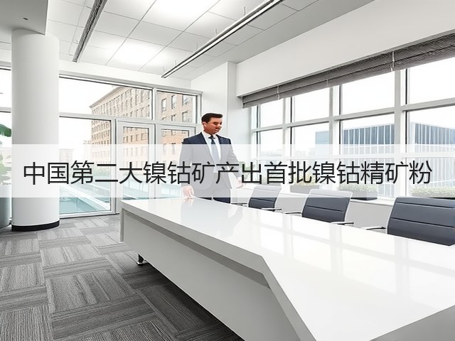 中国第二大镍钴矿产出首批镍钴精矿粉(图1) 中国第二大镍钴矿产出首批镍钴精矿粉(图1)