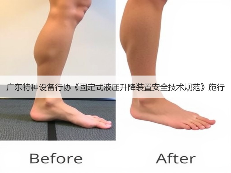 广东特种设备行协《固定式液压升降装置安全技术规范》施行