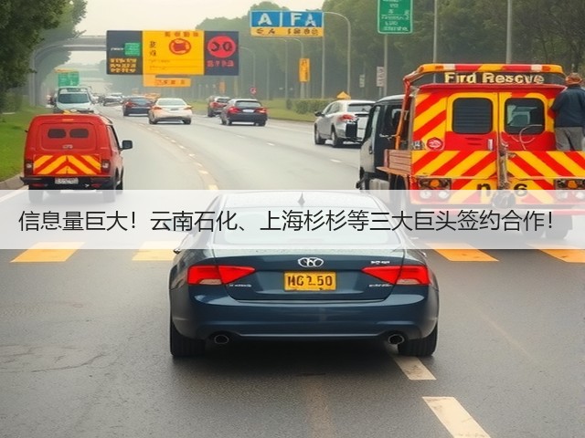 信息量巨大！云南石化、上海杉杉等三大巨头签约合作！(图3)