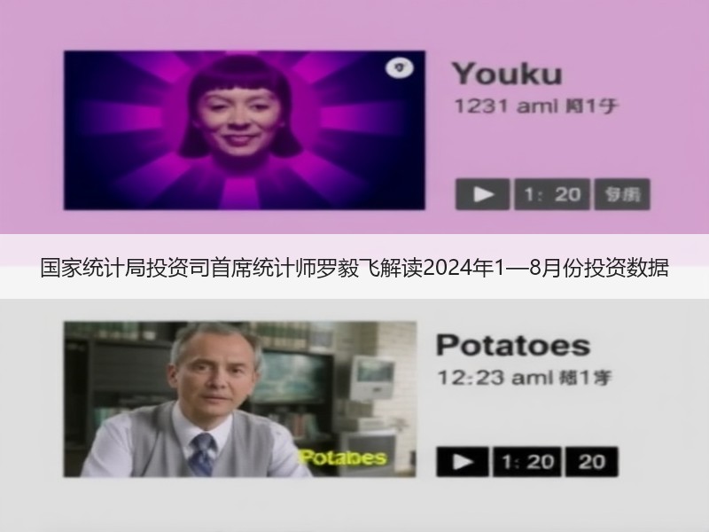国家统计局投资司首席统计师罗毅飞解读2024年1—8月份投资数据