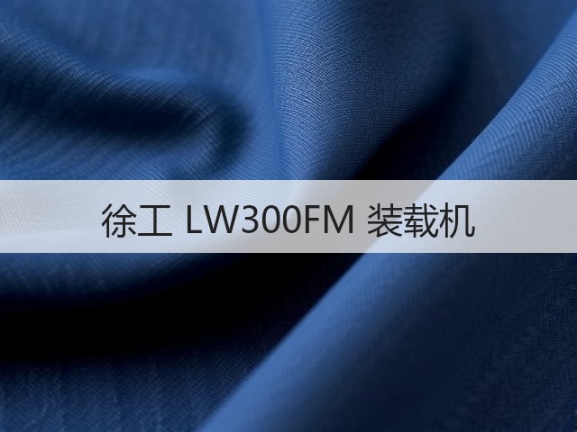 徐工 LW300FM 装载机(图3)