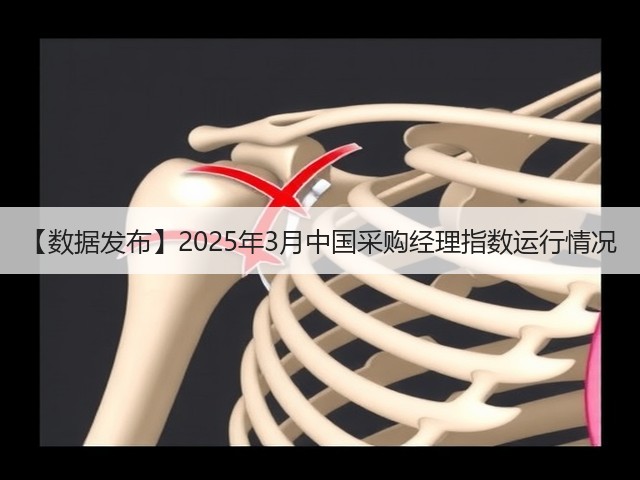 【数据发布】2025年3月中国采购经理指数运行情况(图3) 【数据发布】2025年3月中国采购经理指数运行情况(图3)