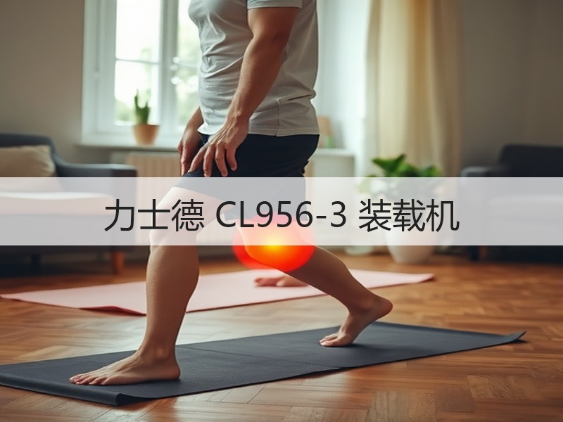 力士德 CL956-3 装载机