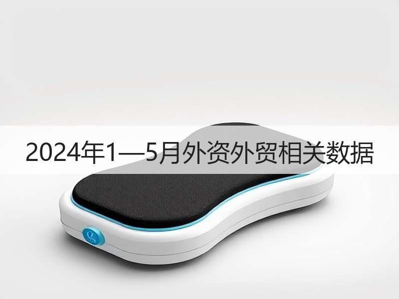 2024年1—5月外资外贸相关数据