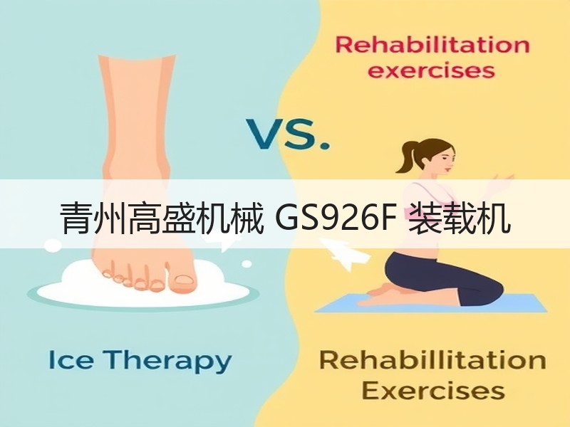 青州高盛机械 GS926F 装载机 青州高盛机械 GS926F 装载机