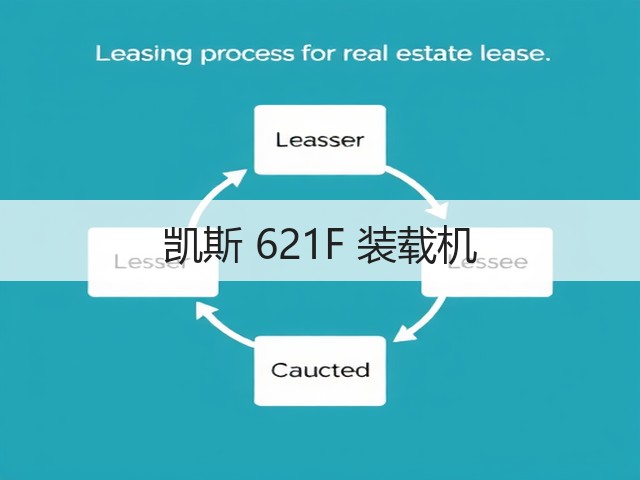 凯斯 621F 装载机(图3) 凯斯 621F 装载机(图3)