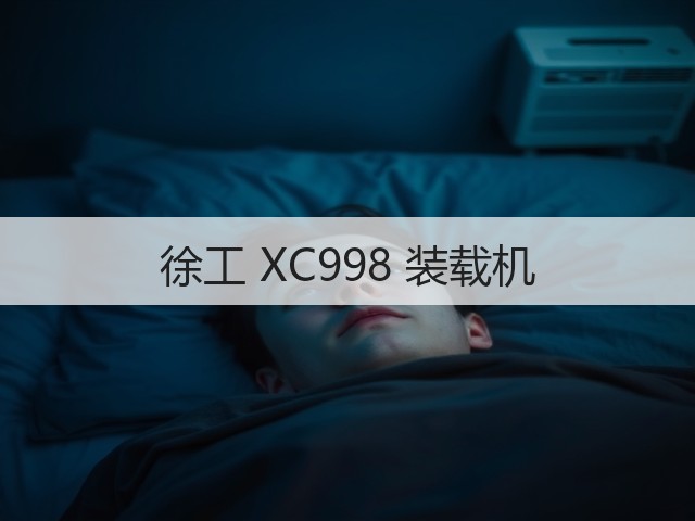 徐工 XC998 装载机(图1)