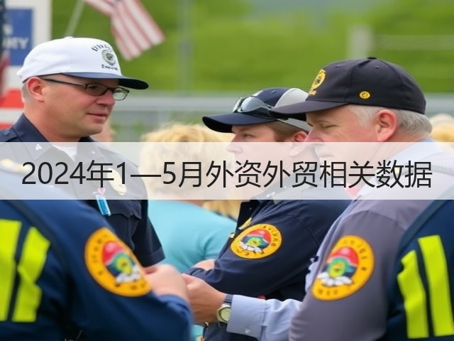 2024年1—5月外资外贸相关数据(图3)