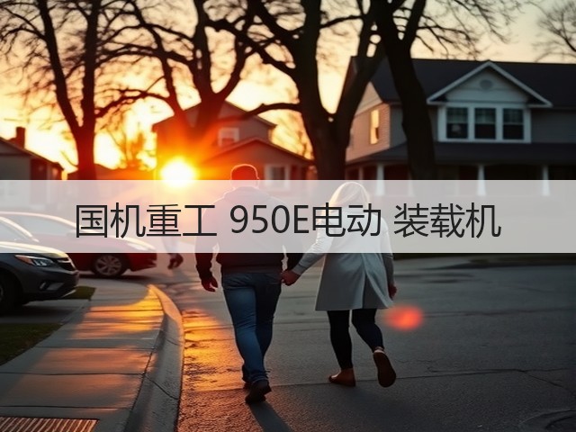 国机重工 950E电动 装载机(图1)