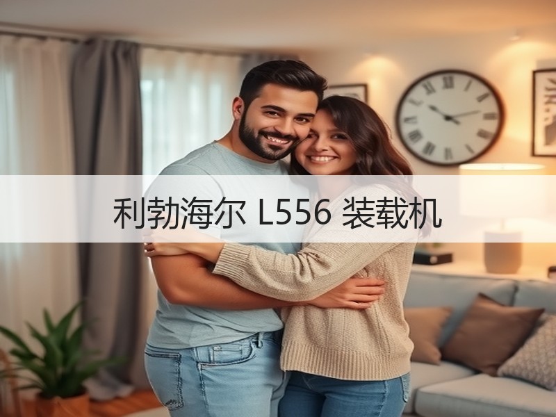 利勃海尔 L556 装载机