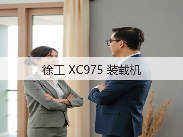 徐工 XC975 装载机(图3)