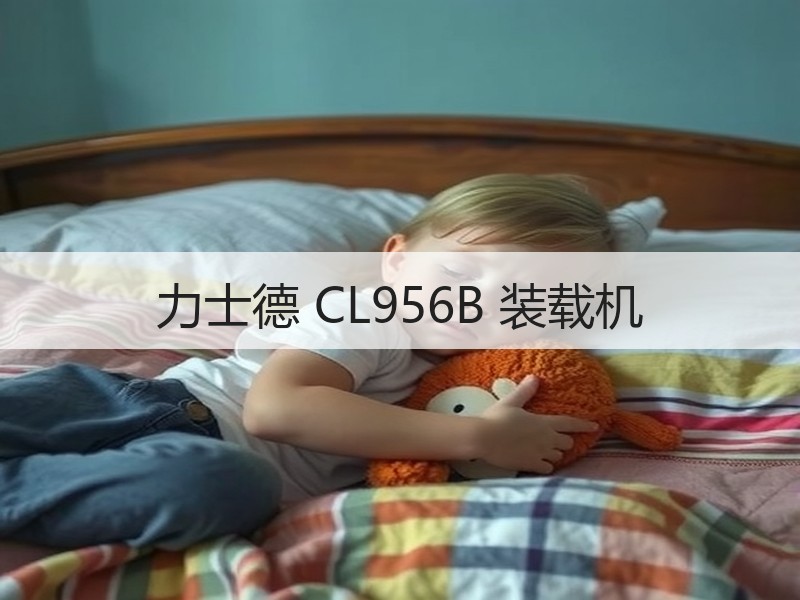 力士德 CL956B 装载机