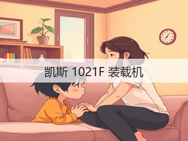 凯斯 1021F 装载机(图2)