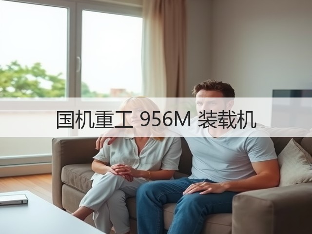 国机重工 956M 装载机(图2) 国机重工 956M 装载机(图2)