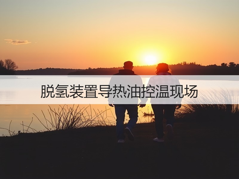 脱氢装置导热油控温现场