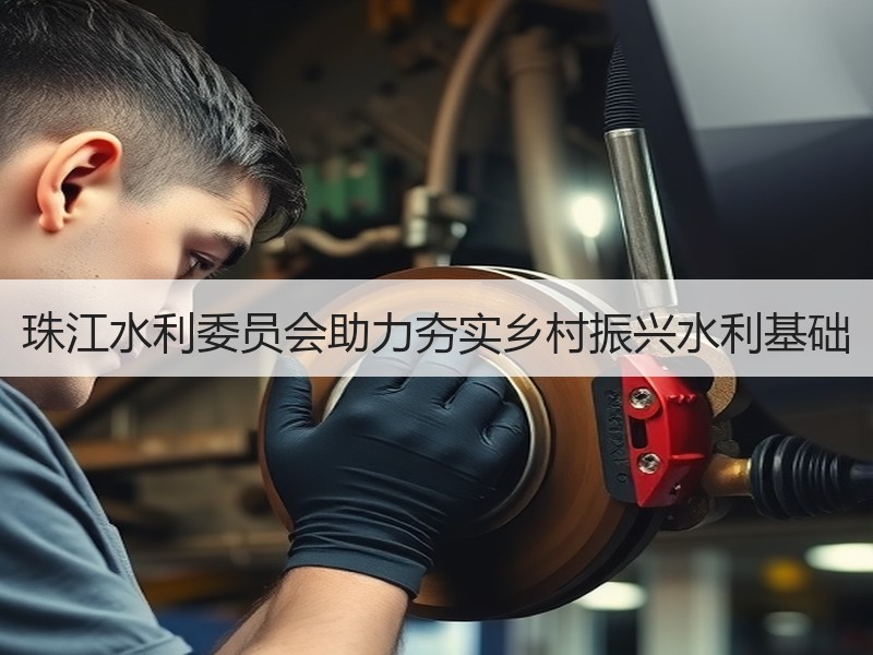珠江水利委员会助力夯实乡村振兴水利基础