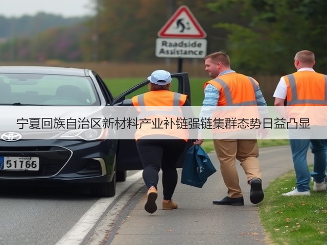 宁夏回族自治区新材料产业补链强链集群态势日益凸显(图2) 宁夏回族自治区新材料产业补链强链集群态势日益凸显(图2)