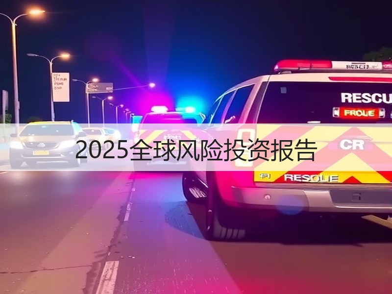 2025全球风险投资报告