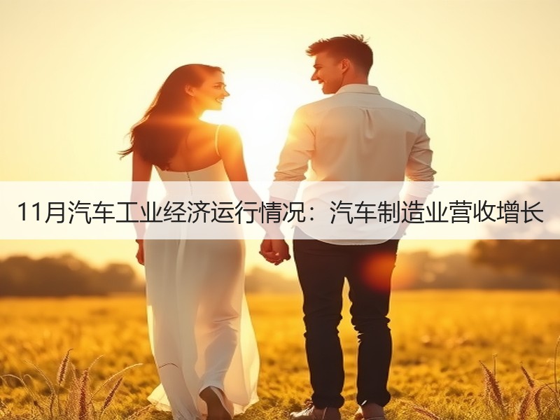 11月汽车工业经济运行情况：汽车制造业营收增长