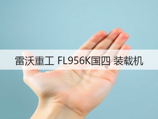 雷沃重工 FL956K国四 装载机(图3) 雷沃重工 FL956K国四 装载机(图3)