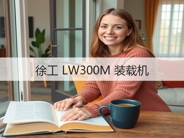 徐工 LW300M 装载机(图2)