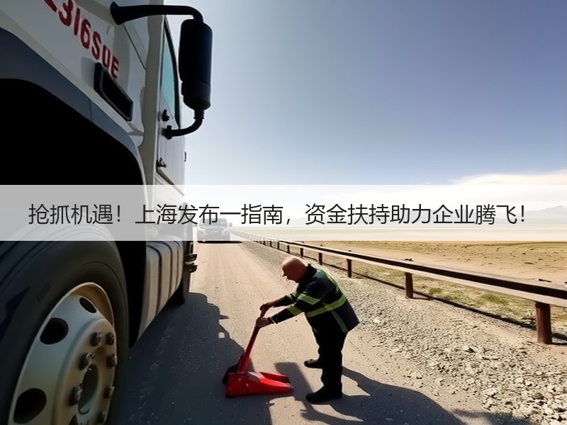 抢抓机遇！上海发布一指南，资金扶持助力企业腾飞！