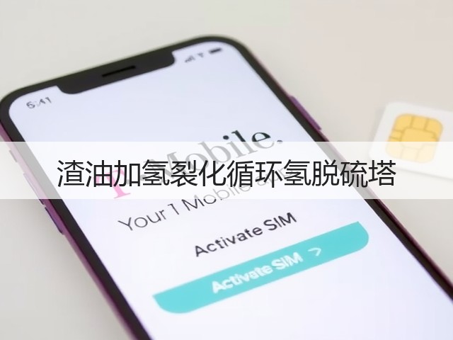 渣油加氢裂化循环氢脱硫塔(图3)