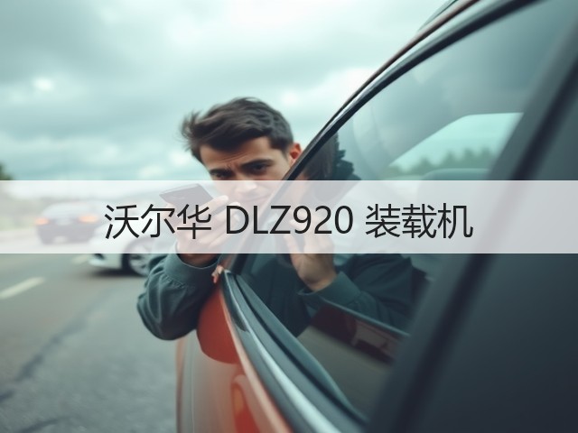 沃尔华 DLZ920 装载机(图2)