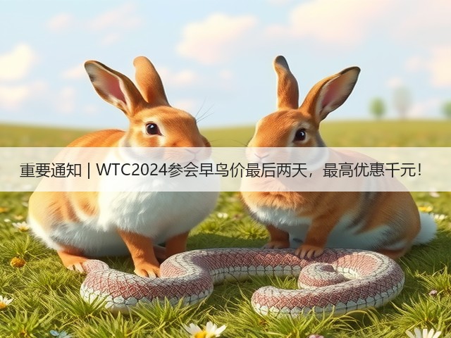 重要通知 | WTC2024参会早鸟价最后两天,最高优惠千元!(图3) 重要通知 | WTC2024参会早鸟价最后两天,最高优惠千元!(图3)