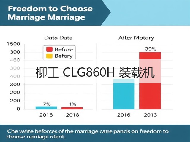 柳工 CLG860H 装载机(图3)