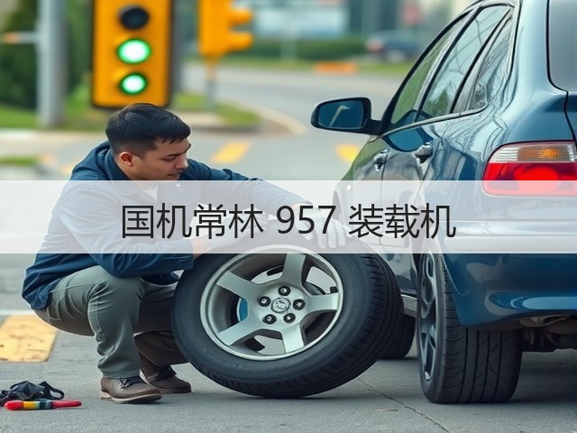 国机常林 957 装载机(图2) 国机常林 957 装载机(图2)