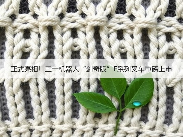 正式亮相!三一机器人“剑奇版”F系列叉车重磅上市(图1) 正式亮相!三一机器人“剑奇版”F系列叉车重磅上市(图1)