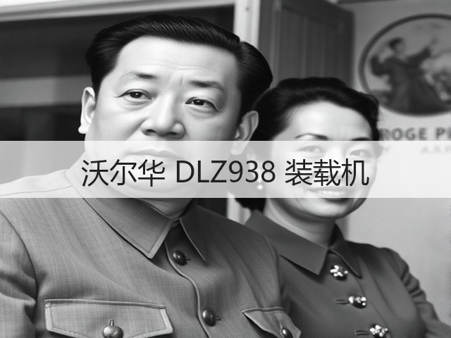 沃尔华 DLZ938 装载机(图2) 沃尔华 DLZ938 装载机(图2)