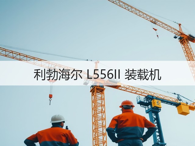 利勃海尔 L556II 装载机(图3)