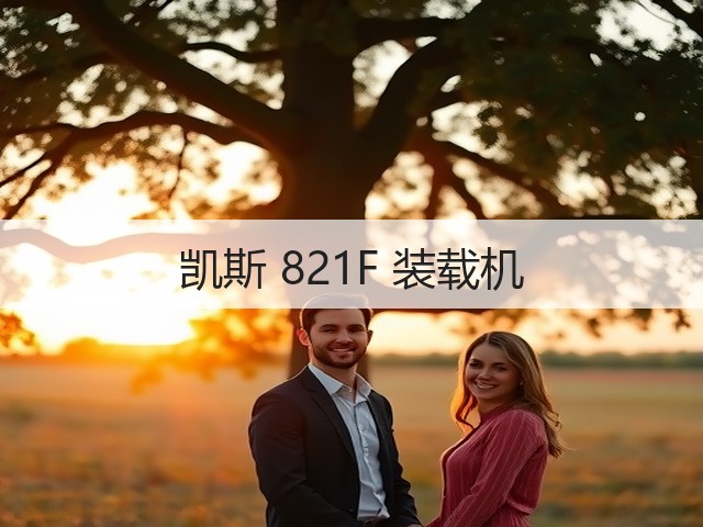 凯斯 821F 装载机(图3) 凯斯 821F 装载机(图3)