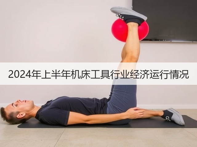 2024年上半年机床工具行业经济运行情况(图3) 2024年上半年机床工具行业经济运行情况(图3)