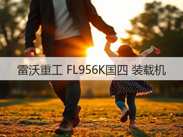 雷沃重工 FL956K国四 装载机(图2)
