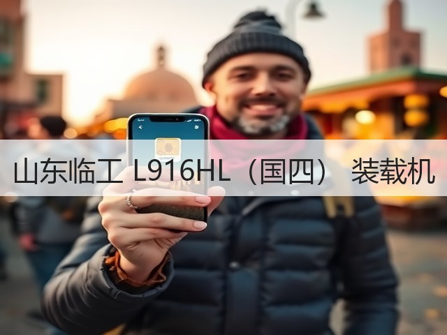 山东临工 L916HL（国四） 装载机(图2)