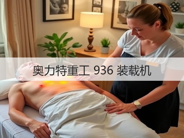 奥力特重工 936 装载机(图1)