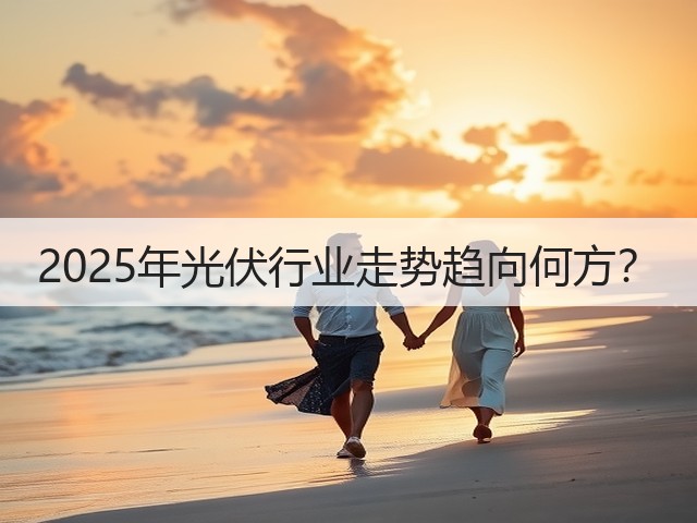 2025年光伏行业走势趋向何方？(图2)