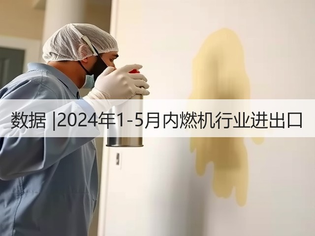 数据 |2024年1-5月内燃机行业进出口(图2)