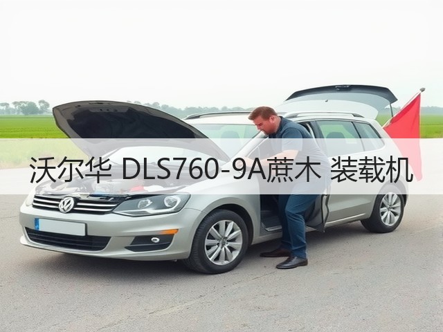 沃尔华 DLS760-9A蔗木 装载机(图3) 沃尔华 DLS760-9A蔗木 装载机(图3)